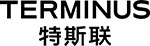 Logotipo de Terminus Group