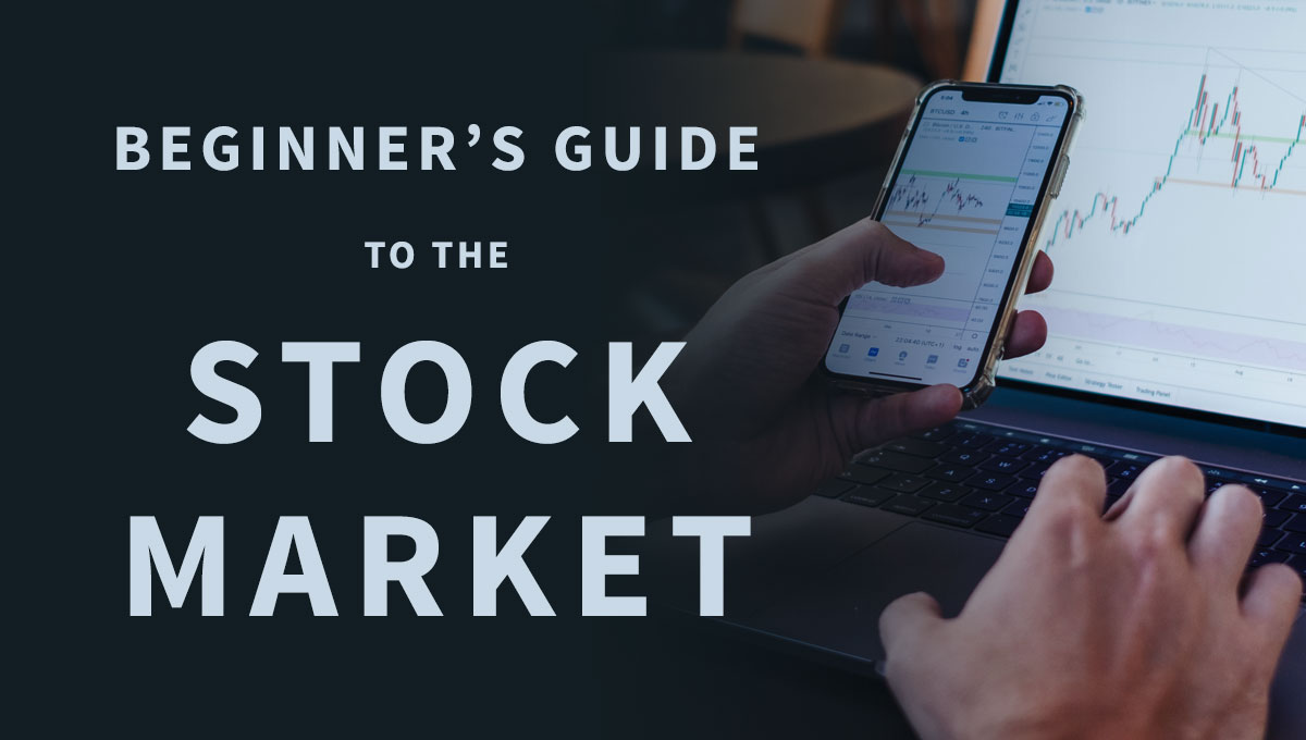 Beginner's Guide to the Stock Market